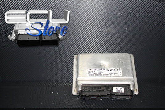 ECU / CENTRALITA MOTOR 5WY1981A 39120-23890 - HYUNDAI TRAJET 2.0